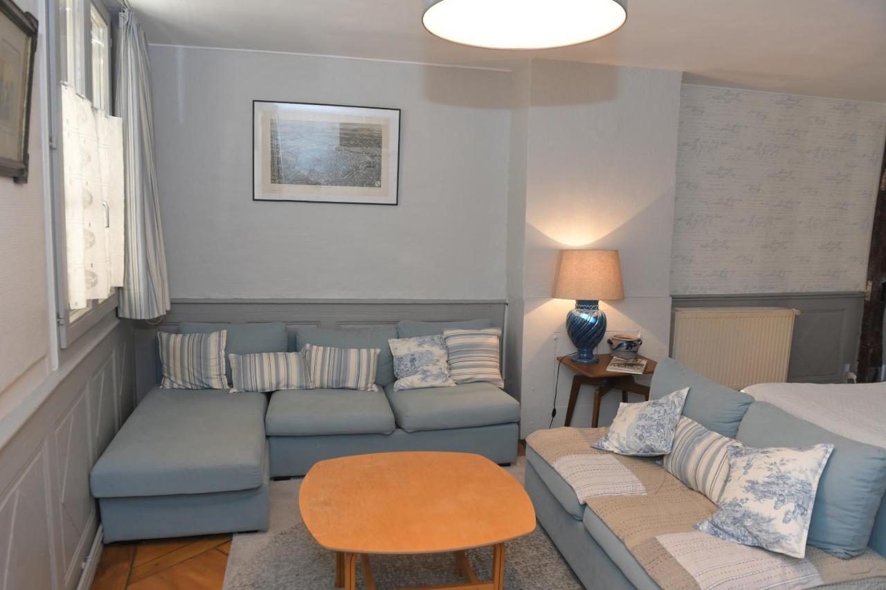 Le Duplex Διαμέρισμα Κολμάρ Εξωτερικό φωτογραφία